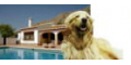 Costa Blanca mit Hund - Ferienhaus Hund erlaubt in Spanien